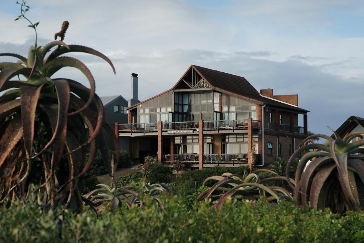 Shaloha Guesthouse On Supertubes Jeffreys Bay Exteriér fotografie